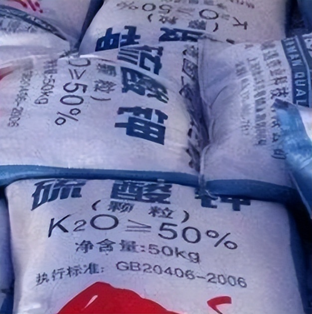 中港?；愤M(jìn)口