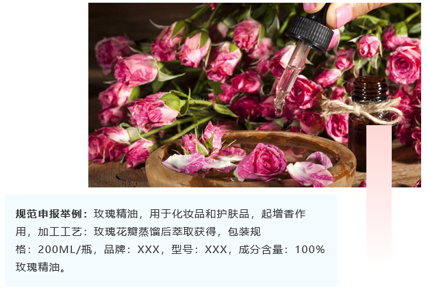 <a href='http://dikongroup.com' title='危險(xiǎn)品海運(yùn)' >危險(xiǎn)品海運(yùn)</a>