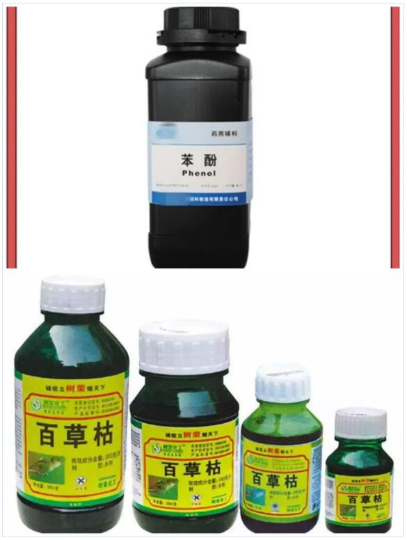 <a href='http://dikongroup.com' title='國際貨運(yùn)代理' >國際貨運(yùn)代理</a>